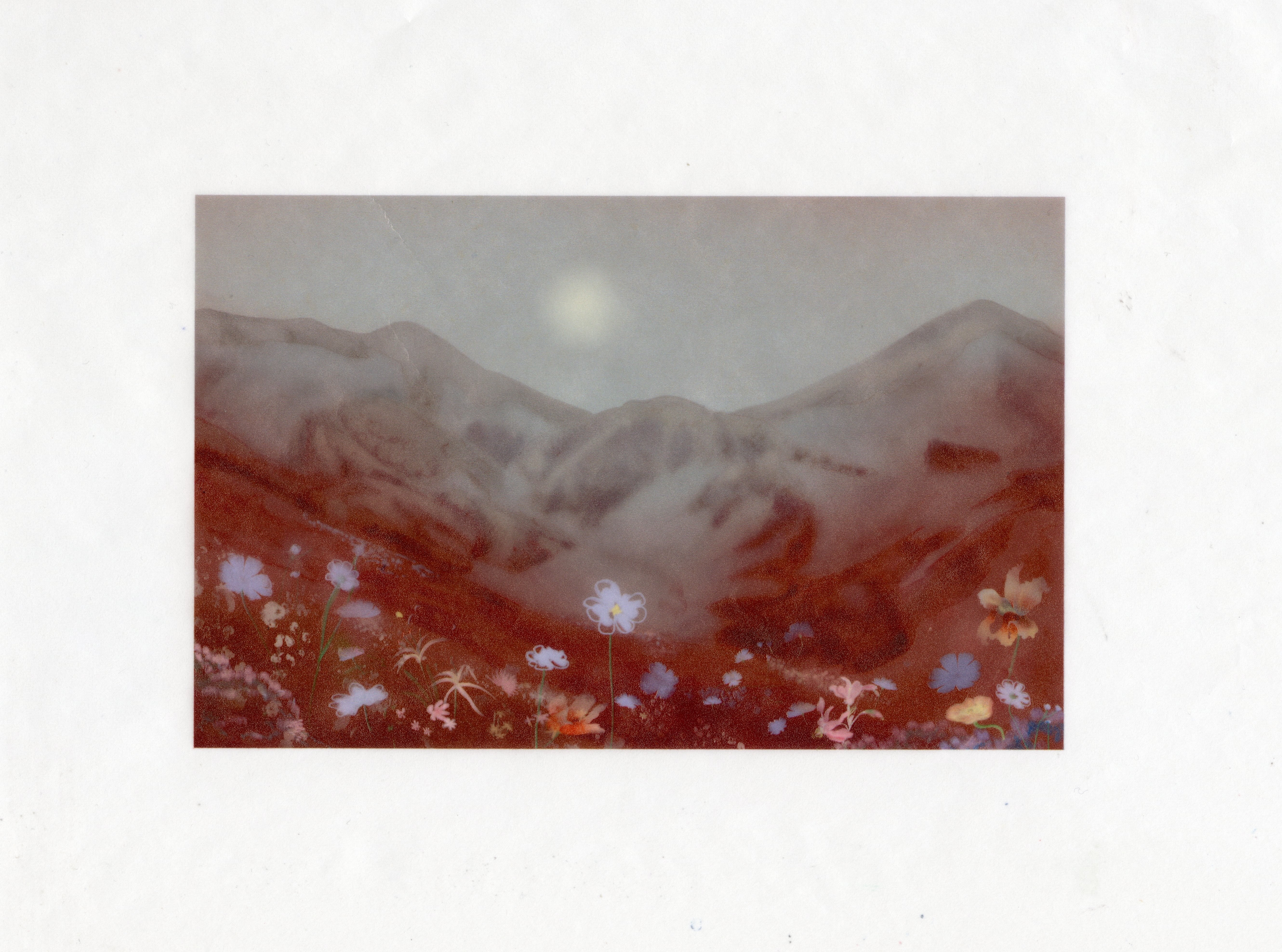 Illustration from the Sketches project by Sirai Bucarelli, image 3