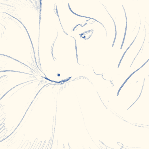 Illustration from the Sketches project by Sirai Bucarelli, image 4