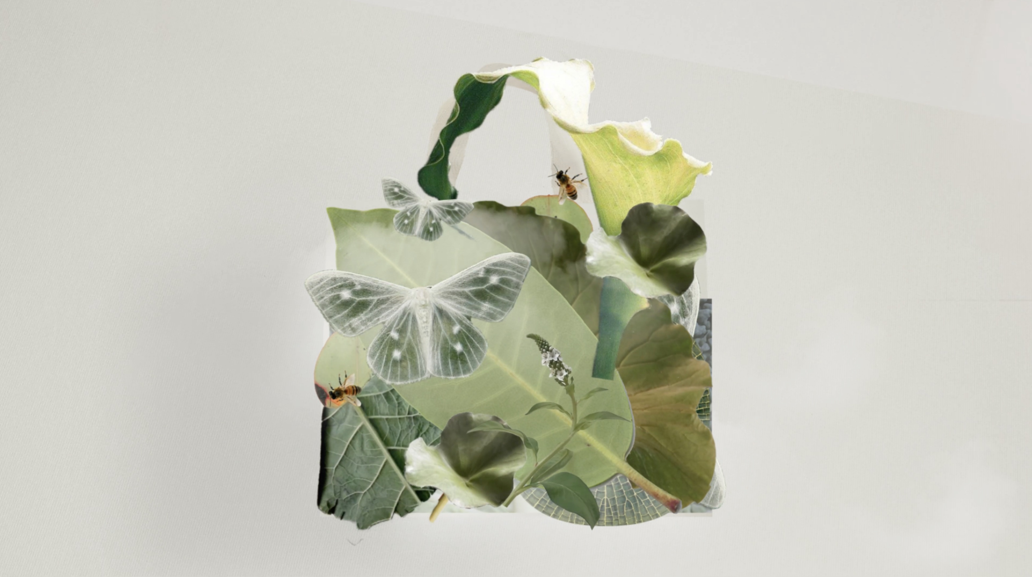 Animation still from the Camilla and Marc project by Sirai Bucarelli, image 2