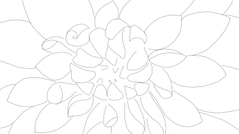 Animated illustration from the Reconnect Retreats project by Sirai Bucarelli, image 10