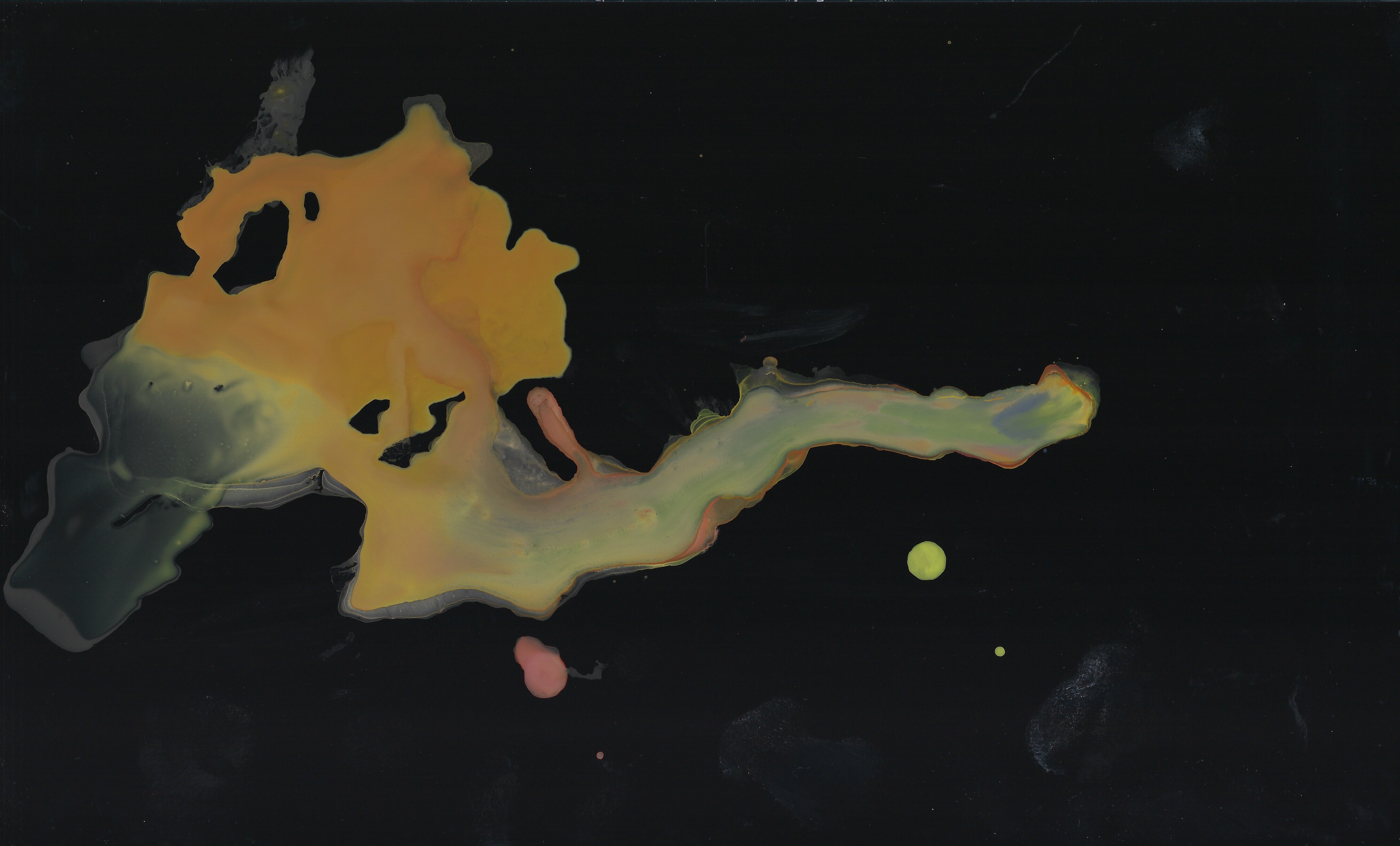 Illustration from the Adrian Cashmere project by Sirai Bucarelli, image 6