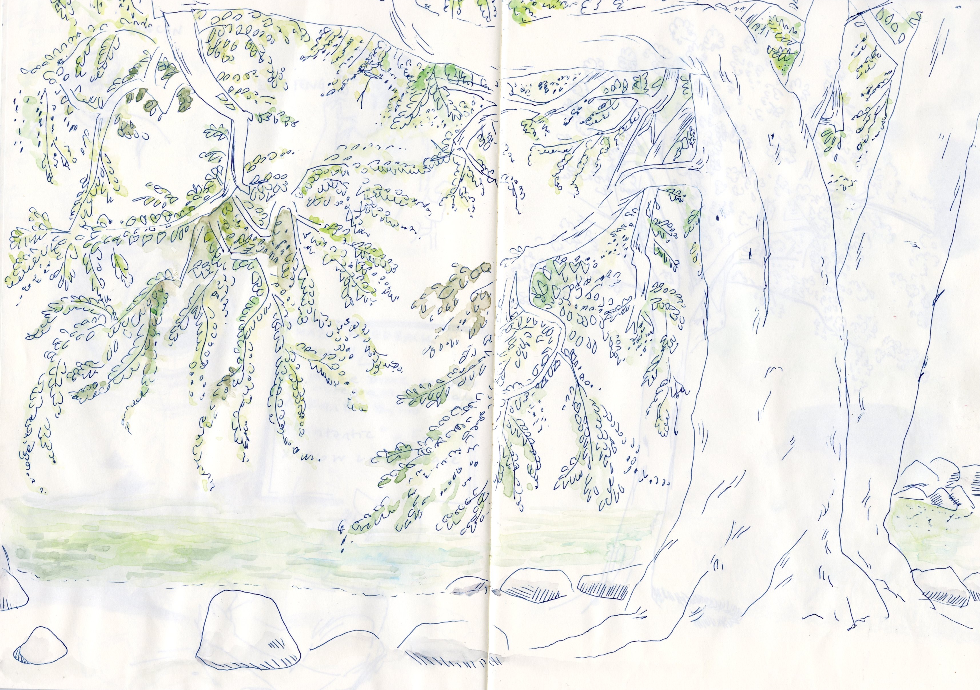 Illustration from the Sketches project by Sirai Bucarelli, image 2