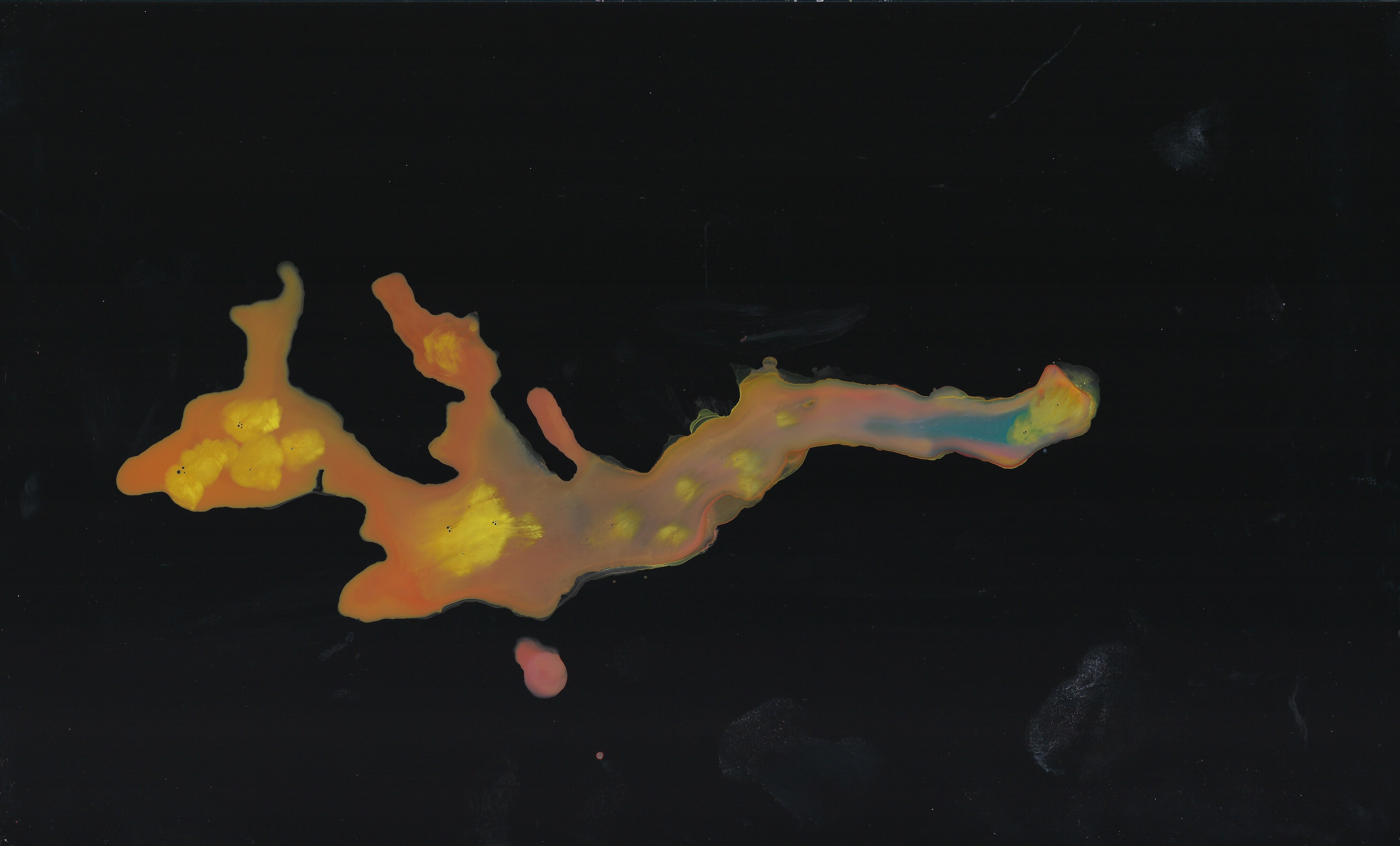Illustration from the Adrian Cashmere project by Sirai Bucarelli, image 7