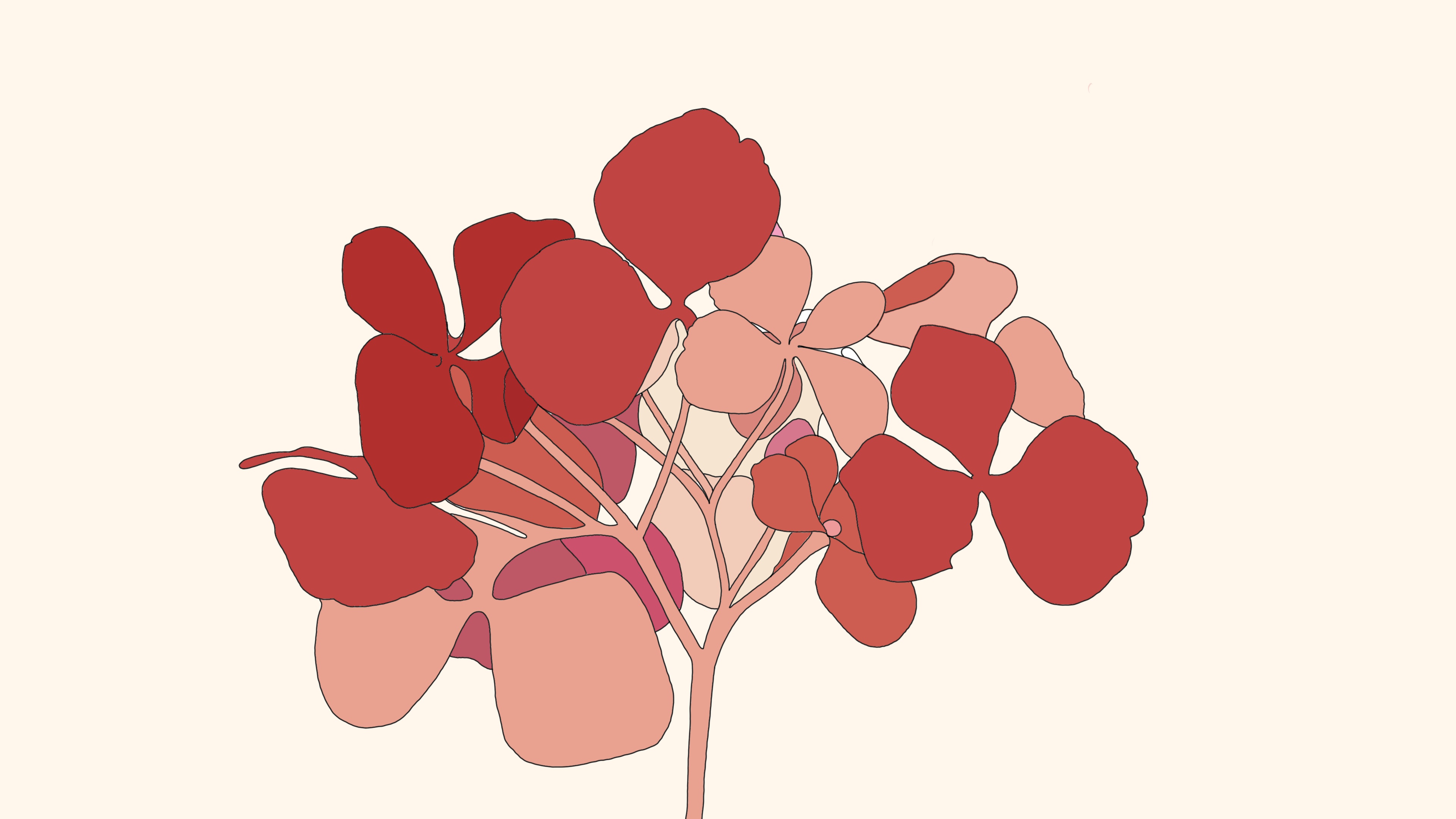 Illustration from the Reconnect Retreats project by Sirai Bucarelli, image 2